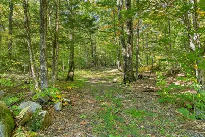 Lot 22 Mt Israel Road #22, Sandwich, NH 03227 - Photo 11