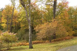 231 W Meadow Rd, Bradford, NH 03221 - Photo 49