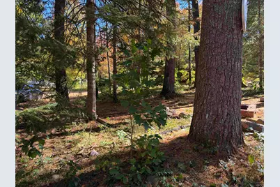 117 Weona Drive, Freedom, NH 03836 - Photo 7