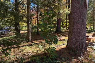 117 Weona Dr, Freedom, NH 03836 - Photo 7