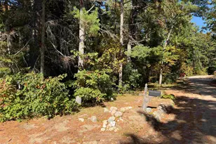 117 Weona Dr, Freedom, NH 03836 - Photo 11