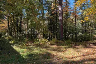 117 Weona Dr, Freedom, NH 03836 - Photo 5