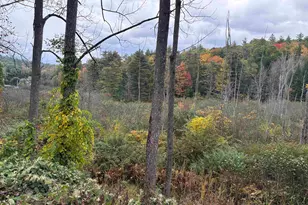 44 Gunn Mountain Rd, Winchester, NH 03441 - Photo 7