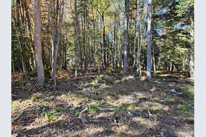 95 Langway Road, Lyman, NH 03585 - Photo 9