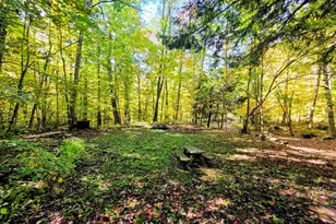 312 Haverhill Ln, Haverhill, NH 03785 - Photo 35