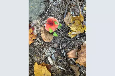 0 New Hampshire Drive, Webster, NH 03303 - Photo 13