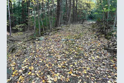 0 New Hampshire Drive, Webster, NH 03303 - Photo 21
