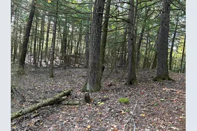 0 New Hampshire Drive, Webster, NH 03303 - Photo 29