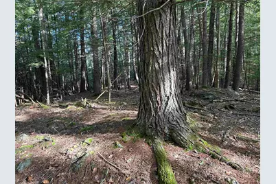0 New Hampshire Drive, Webster, NH 03303 - Photo 27