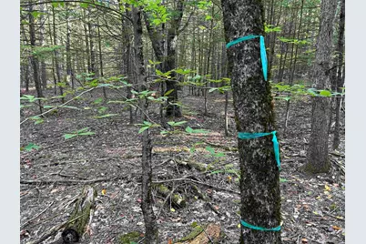 0 New Hampshire Drive, Webster, NH 03303 - Photo 23