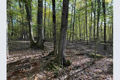 0 New Hampshire Drive, Webster, NH 03303 - Photo 19