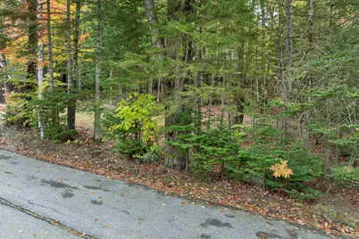 16 Greeley Hill Road, Waterville Valley, NH 03215 - Photo 7