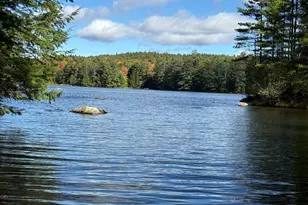 92 Moose Mountain Rd, Canaan, NH 03741 - Photo 49
