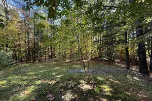 92 Moose Mountain Rd, Canaan, NH 03741 - Photo 41