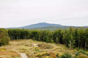 265 W Hill Rd, Troy, NH 03465 - Photo 57
