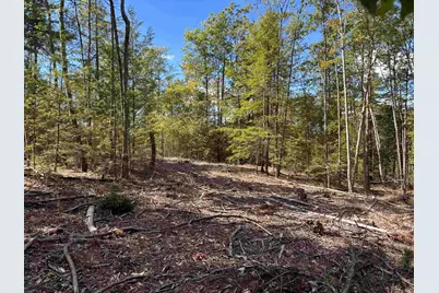 M404 L3 Taylor Hill Road, Richmond, NH 03470 - Photo 5