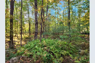 Tbd Tall Pine Road, Farmington, NH 03835 - Photo 7