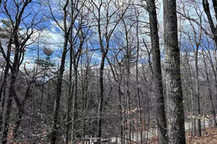 19 St Moritz Dr, Madison, NH 03849 - Photo 1