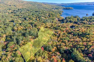 105 Cooper Rd, Hebron, NH 03241 - Photo 3
