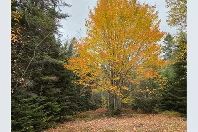 571 Piper Hill Road, Stewartstown, NH 03576 - Photo 31