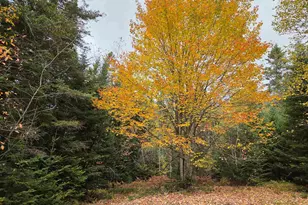 571 Piper Hill Rd, Stewartstown, NH 03576 - Photo 31
