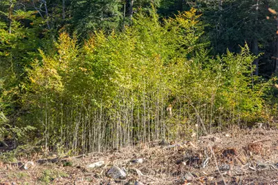 0000 Page Hill Road, Tamworth, NH 03817 - Photo 11