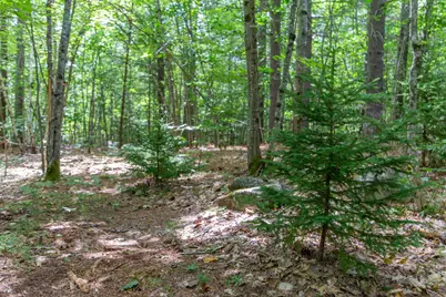 00 Alden Washburn Drive, Tamworth, NH 03817 - Photo 19