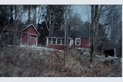 411 Schoodac Road, Warner, NH 03278 - Photo 1