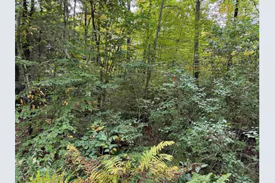 16-75 Ravenhead Lane, Hillsboro, NH 03244 - Photo 3
