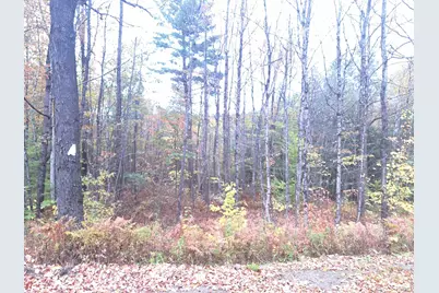 307 Corbin Road, Alstead, NH 03602 - Photo 9