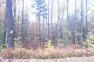 307 Corbin Rd, Alstead, NH 03602 - Photo 9