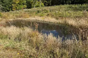 93 Old Greenfield Rd, Peterborough, NH 03458 - Photo 21