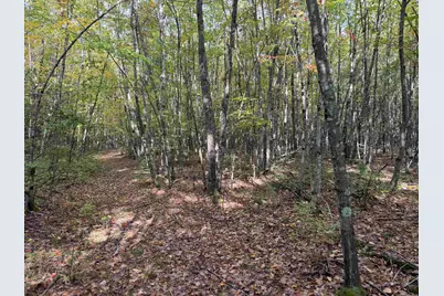 49 Quinns Field, Rochester, NH 03867 - Photo 3