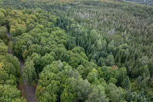 Lot 5 Wood Yard Crossing, Pittsburg, NH 03592 - Photo 1