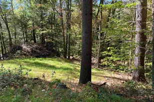 19 Mack Rd, Gilsum, NH 03448 - Photo 27