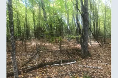 21612 Upper Road, Sandwich, NH 03227 - Photo 3
