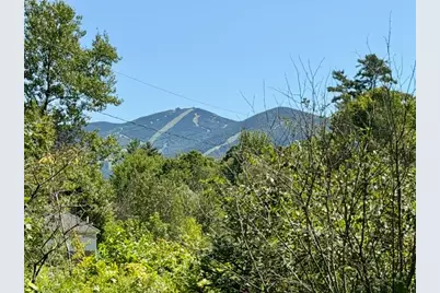 43 Sawmill Lane, Franconia, NH 03580 - Photo 1