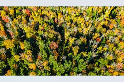 Lot 206-044 Lost River Road, Woodstock, NH 03262 - Photo 7