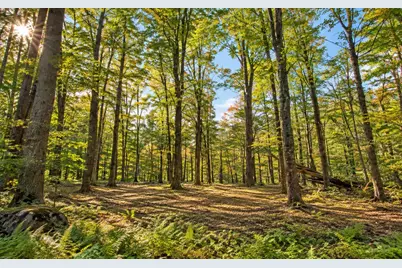 Lot 2 Ma-41, Richmond, MA 01254 - Photo 5