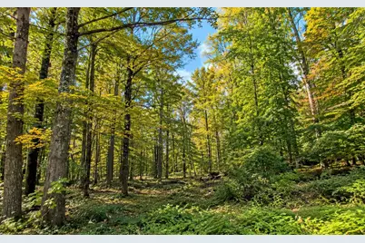 Lot 2 Ma-41, Richmond, MA 01254 - Photo 7