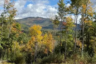 50 Jacob Hall Farm Rd, Rumney, NH 03266 - Photo 1