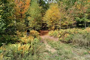 107 Merriam Rd, Walpole, NH 03608 - Photo 53