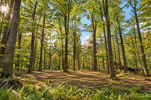 Lot 3 Ma-41, Richmond, MA 01254 - Photo 1