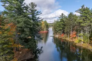 1183 Faxon Hill Rd, Washington, NH 03280 - Photo 53