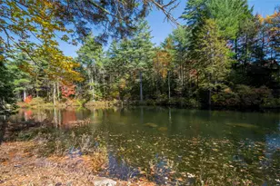1183 Faxon Hill Rd, Washington, NH 03280 - Photo 49
