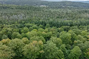 Lot 7 Wood Yard Crossing, Pittsburg, NH 03592 - Photo 1