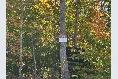 00 Federal Corner Road, Tuftonboro, NH 03816 - Photo 3