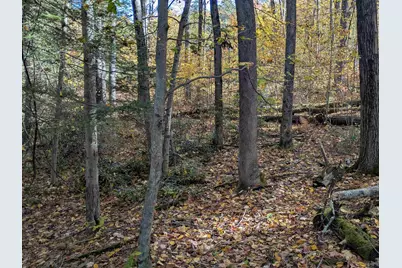 Manning Hill Road, Winchester, NH 03470 - Photo 11