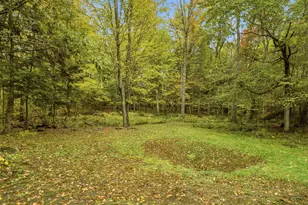 51 Priest Rd, Nottingham, NH 03290 - Photo 11