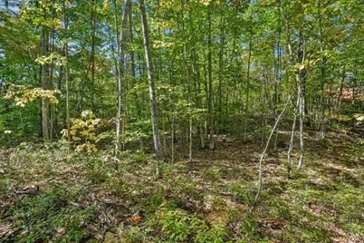 0 Monique Drive, Wakefield, NH 03830 - Photo 9